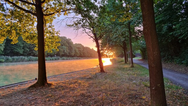 image from Nachtangeln 2025